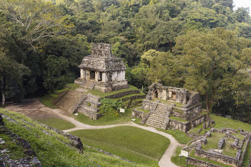 Maya-Pyramiden mit Bäumen im Hintergrund - MMPF00806