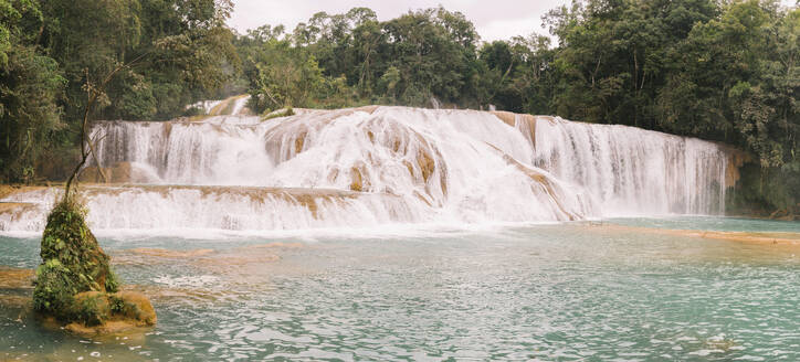 Agua Azul Kaskaden mit Bäumen - MMPF00813