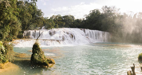 Wasserfall Agua Azul Cascades mit Bäumen im Hintergrund an einem sonnigen Tag - MMPF00816