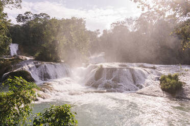 Agua Azul Kaskaden mit Bäumen an einem sonnigen Tag - MMPF00818