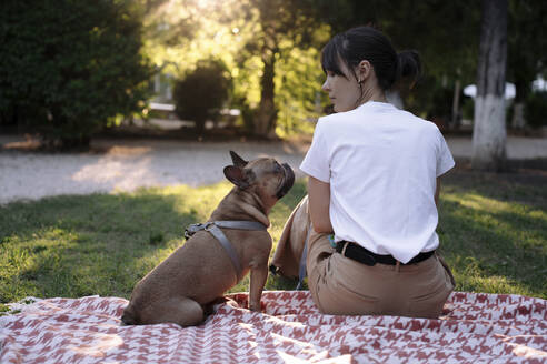 Frau sieht Hund auf Decke im Park sitzend an - YBF00094