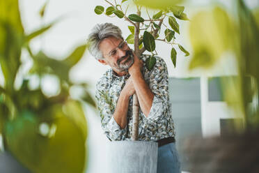 Geschäftsmann umarmt Pflanze im Büro - JOSEF20520