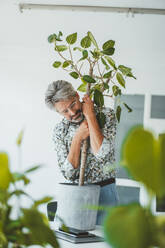 Älterer Geschäftsmann hält Topfpflanze im Büro - JOSEF20521