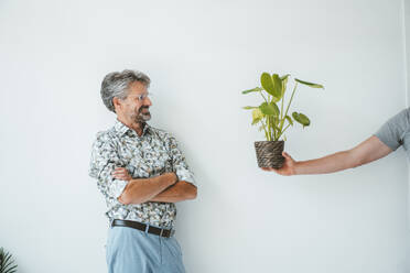Männerhand, die einem Geschäftsmann eine Pflanze schenkt - JOSEF20529