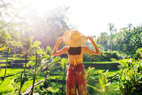 Junge Frau auf grüner Kaskaden-Reisfeld-Plantage auf der Tegalalang-Terrasse. Bali, Indonesien - Schönes weibliches Modell posiert auf einer Reisterrasse in Ubud - DMDF01648