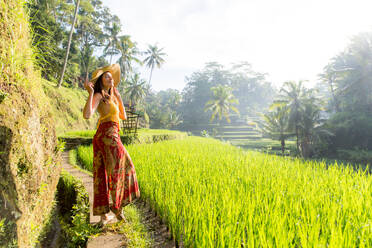Young woman on green cascade rice field plantation at Tegalalang terrace. Bali, Indonesia - Beautiful female model posing at rice terrace in Ubud - DMDF01660