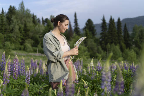 Lächelnde Frau mit Lupinenblüten auf einem Feld - VBUF00325