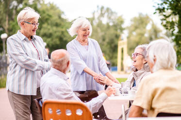 Gruppe glücklicher älterer Menschen, die sich im Freien in der Bar-Cafeteria treffen - Alte Menschen im Alter von 60, 70, 80 Jahren, die Spaß haben und Zeit miteinander verbringen, Konzepte über ältere Menschen, Seniorität und Wellness-Aging - DMDF02345