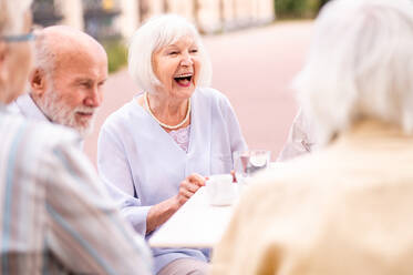 Gruppe glücklicher älterer Menschen, die sich im Freien in der Bar-Cafeteria treffen - Alte Menschen im Alter von 60, 70, 80 Jahren, die Spaß haben und Zeit miteinander verbringen, Konzepte über ältere Menschen, Seniorität und Wellness-Aging - DMDF02346