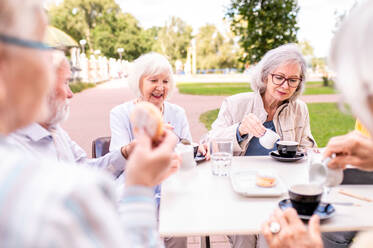 Gruppe glücklicher älterer Menschen, die sich im Freien in der Bar-Cafeteria treffen - Alte Menschen im Alter von 60, 70, 80 Jahren, die Spaß haben und Zeit miteinander verbringen, Konzepte über ältere Menschen, Seniorität und Wellness-Aging - DMDF02349