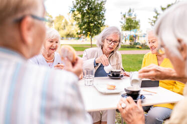 Gruppe glücklicher älterer Menschen, die sich im Freien in der Bar-Cafeteria treffen - Alte Menschen im Alter von 60, 70, 80 Jahren, die Spaß haben und Zeit miteinander verbringen, Konzepte über ältere Menschen, Seniorität und Wellness-Aging - DMDF02350