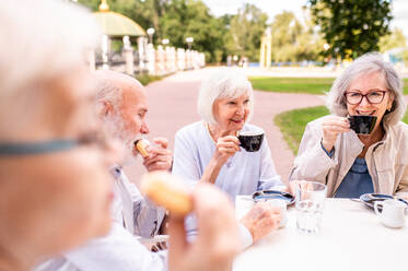 Gruppe glücklicher älterer Menschen, die sich im Freien in der Bar-Cafeteria treffen - Alte Menschen im Alter von 60, 70, 80 Jahren, die Spaß haben und Zeit miteinander verbringen, Konzepte über ältere Menschen, Seniorität und Wellness-Aging - DMDF02352