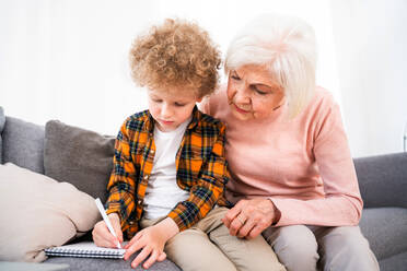 Grandma And Granddaughter Playing At Home Stock Photo, Picture and