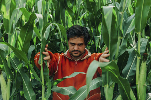 Mann inmitten von Maiskulturen auf einem Feld - VSNF01306