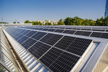 Auf einem Dach installierte Solarmodule, die unter einem strahlend blauen Himmel saubere Energie erzeugen - DIGF20248