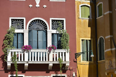 Italy, Veneto, Venice, Flowers on balcony with shuttered windows - FDF00396