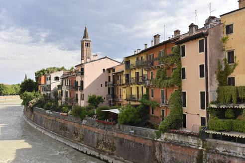 Italy, Veneto, Verona, Waterfront townhouses in sunlight - FDF00399