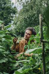 Smiling man holding cucumber in vegetable garden - VSNF01317