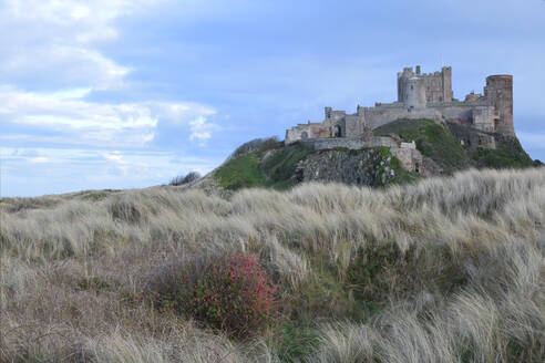 Bamburgh Castle, Bamburgh, Northumberland Coast, Northumbria, England, United Kingdom, Europe - RHPLF26749