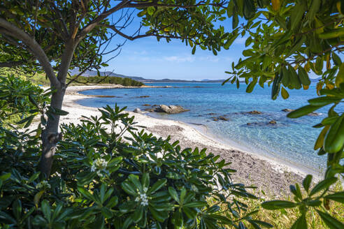 View of Spiaggia Cala d'Ambra beach, San Teodoro, Sardinia, Italy, Mediterranean, Europe - RHPLF26753