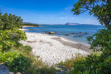View of Spiaggia Cala d'Ambra beach and Isola di Tavolara in background, San Teodoro, Sardinia, Italy, Mediterranean, Europe - RHPLF26762