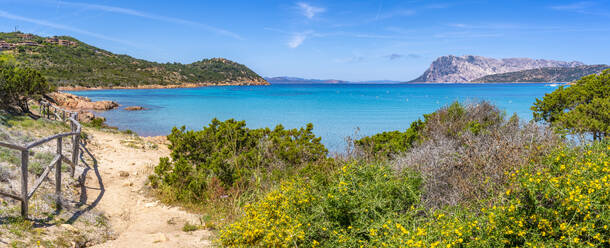 View of Capo Coda Cavallo beach and Isola di Tavolara in background, Sardinia, Italy, Mediterranean, Europe - RHPLF26787