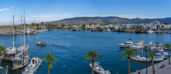 View of boats in Kos Harbour in Kos Town from elevated position, Kos, Dodecanese, Greek Islands, Greece, Europe - RHPLF26829