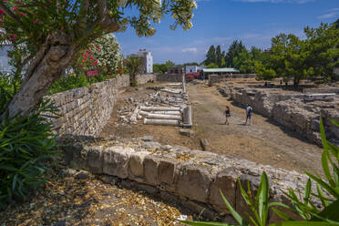 View of Ancient Agora and flowering trees, Kos Town, Kos, Dodecanese, Greek Islands, Greece, Europe - RHPLF26830