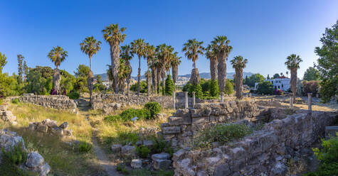 View of Aph­ro­dite-Hei­lig­tum, Kos Town, Kos, Dodecanese, Greek Islands, Greece, Europe - RHPLF26836