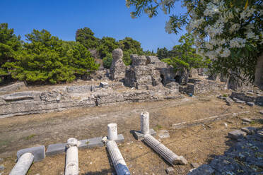 View of Ancient Agora and flowering trees, Kos Town, Kos, Dodecanese, Greek Islands, Greece, Europe - RHPLF26839