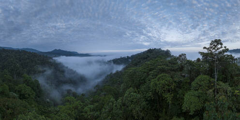 Aerial view of The Cloudforest, Mashpi, Reserva Mashpi Amagusa, Pichincha, Ecuador, South America - RHPLF26851