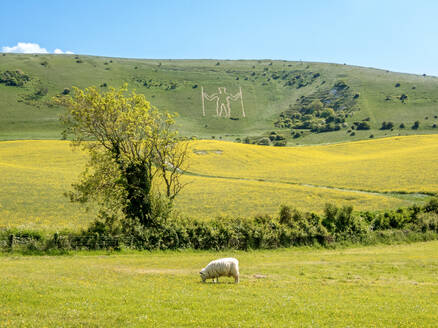 The Long Man of Wilmington, a hill carving on the Sussex Downs, possibly Neolithic, 15th century or later, above the village of Wilmington, East Sussex, England, United Kingdom, Erope - RHPLF26881