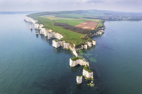 Aerial view of the white cliffs of Old Harry Rocks, Jurassic Coast, UNESCO World Heritage Site, Studland, Dorset, England, United Kingdom, Europe - RHPLF26888