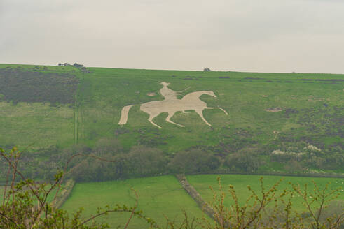 The famous hill figure cut into limestone of the White Horse of Osmington Hill, Weymouth, Dorset, England, United Kingdom, Europe - RHPLF26890