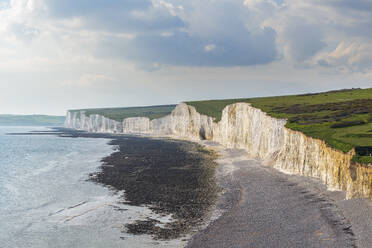Birling Gap beach, Seven Sisters chalk cliffs, South Downs National Park, East Sussex, England, United Kingdom, Europe - RHPLF26895