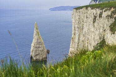 Pinnacle of rock off the Jurassic Coast, Old Harry Rocks, UNESCO World Heritage Site, Studland, Dorset, England, United Kingdom, Europe - RHPLF26899