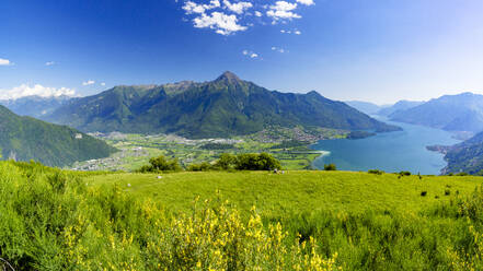 Panoramic of Monte Legnone and Alto Lario from flowering meadows above Lake Como, Bugiallo, Como province, Lombardy, Italian Lakes, Italy, Europe - RHPLF26998