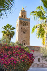 Old minaret tower of Koutoubia Mosque, UNESCO World Heritage Site, framed by flowers in spring, Marrakech, Morocco, North Africa, Africa - RHPLF27005