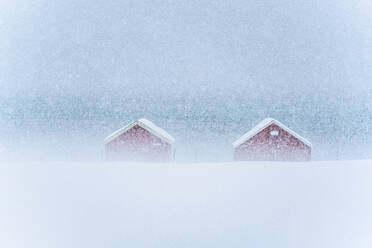 Red cabins in the mist during a heavy snowfall, Troms county, Norway, Scandinavia, Europe - RHPLF27041