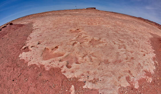 Dinosaur tracks at a tourist attraction on the Navajo Indian Reservation near Tuba City, Arizona, United State of America, North America - RHPLF27149