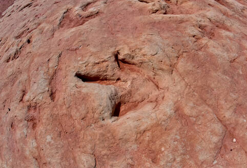 Dinosaur tracks at a tourist attraction on the Navajo Indian Reservation near Tuba City, Arizona, United State of America, North America - RHPLF27150