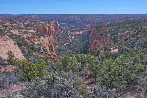 Betatakin Canyon, Navajo National Monument, inside the Navajo Indian Reservation northwest of the town of Kayenta, Arizona, United States of America, North America - RHPLF27151