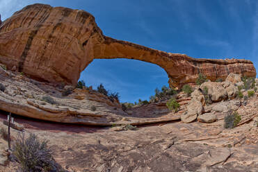 The Owachomo Bridge (Rock Mound in Hopi), Natural Bridges National Monument, Utah, United States of America, North America - RHPLF27163