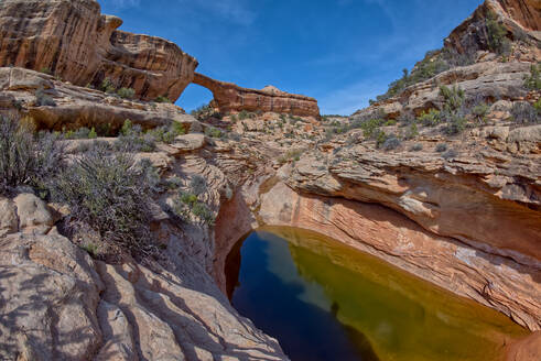 The Owachomo Bridge (Rock Mound in Hopi), Natural Bridges National Monument, Utah, United States of America, North America - RHPLF27164