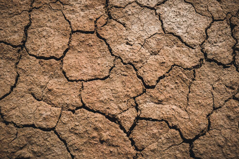 Textures on the cracked, dry ground - RHPLF27188