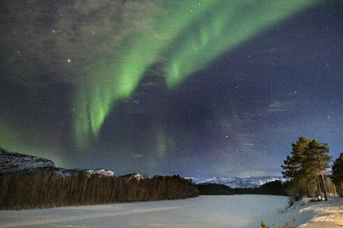 Aurora Borealis (Northern Lights) over the Alta River, near Alta, Arctic Cirle, Norway, Scandinavia, Europe - RHPLF27194