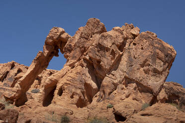 Elephant Rock, Natural Rock Formation, Valley of Fire State Park, Nevada, United States of America, North America - RHPLF27200