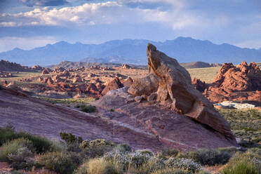 Rock formations and desert landscape at sunset, Valley of Fire State Park, Nevada, United States of America, North America - RHPLF27203