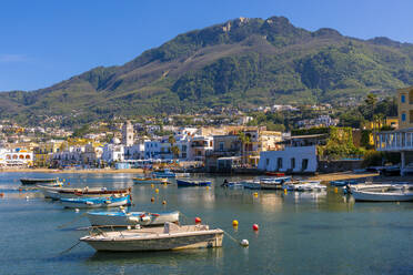 Das Hafenviertel von Lacco Ameno, Insel Ischia, Kampanien, Italien, Europa - RHPLF27216