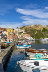 Marina di Corricella, Procida, Flegreische Inseln, Kampanien, Italien, Europa - RHPLF27230